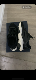 Dior B22 42